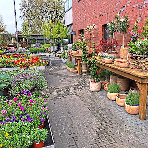 Saisonfloristik Sommer