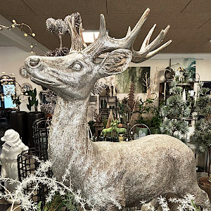 Impressionen zur Advents- und Weihnachtszeit