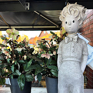 Impressionen zur Advents- und Weihnachtszeit