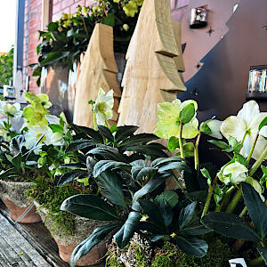 Impressionen zur Advents- und Weihnachtszeit