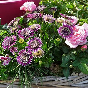 Saisonfloristik Sommer